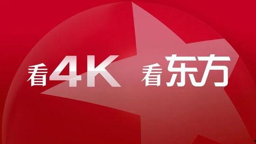 国产精品视,匠心独运,光影交织的艺术盛宴